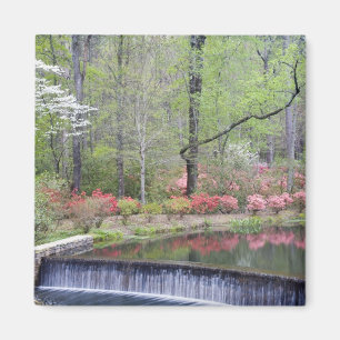 USA, Georgia, Pine Mountain. Ein kleiner Wasserfal Magnet