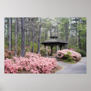 USA, Georgia, Pine Mountain. Ein Pavillon unter Poster