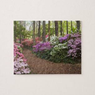 USA, Georgia, Pine Mountain. Ein Pfad durch Puzzle