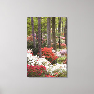 USA, Georgia, Pine Mountain. Ein Wald aus Leinwanddruck