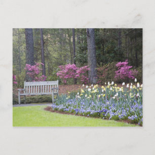 USA, Georgia, Pine Mountain. Eine Grenze von Postkarte