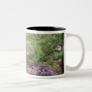 USA, Georgia, Pine Mountain. Eine Mischung aus Zweifarbige Tasse