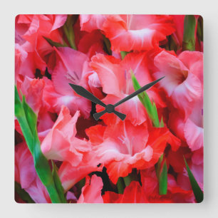 USA, Georgia, Savannah, Bouquet Of Gladiolus Quadratische Wanduhr
