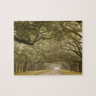 USA, Georgia, Savannah, Eine mit Eichen gesäumte A Puzzle