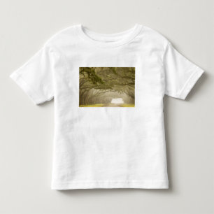 USA, Georgia, Savannah, Eine von Eichen gesäumte A Kleinkind T-shirt
