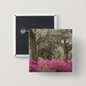 USA, Georgia, Savannah, Frühling bei Historic Button (Vorne & Hinten)