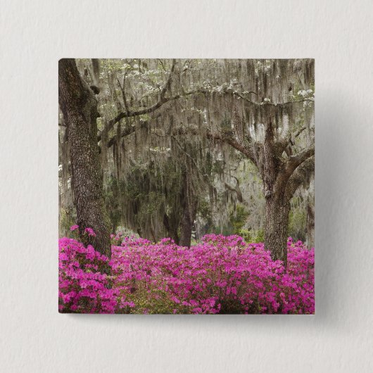 USA, Georgia, Savannah, Frühling bei Historic Button (Vorderseite)