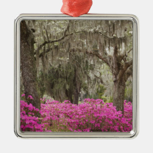 USA, Georgia, Savannah, Frühling bei Historic Silbernes Ornament