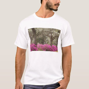 USA, Georgia, Savannah, Frühling bei Historic T-Shirt
