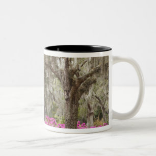 USA, Georgia, Savannah, Frühling bei Historic Zweifarbige Tasse