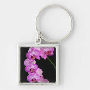 USA, Georgia, Savannah, Orchideen-Cluster 2 Schlüsselanhänger