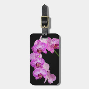 USA, Georgia, Savannah, Orchideencluster 2 Gepäckanhänger