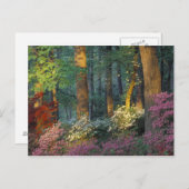 USA, Georgien, Callaway Gardens, Azalea Wald. Postkarte (Vorne/Hinten)