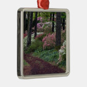 USA, Georgien, Callaway Gardens. Weg Silbernes Ornament (Rechts)