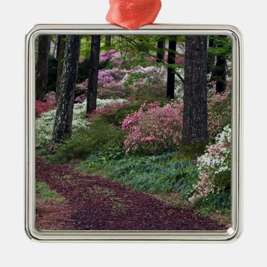 USA, Georgien, Callaway Gardens. Weg Silbernes Ornament (Vorne)