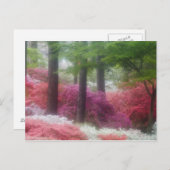 USA; Georgien; Kiefernberg. Azaleen Postkarte (Vorne/Hinten)