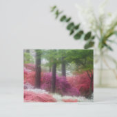 USA; Georgien; Kiefernberg. Azaleen Postkarte (Stehend Vorderseite)