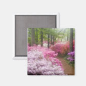 USA; Georgien; Pine Mountain. Azaleen Magnet (Vorderseite/Rückseite)
