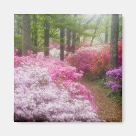 USA; Georgien; Pine Mountain. Azaleen Magnet (Vorne)