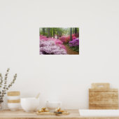 USA; Georgien; Pine Mountain. Azaleen Poster (Küche)