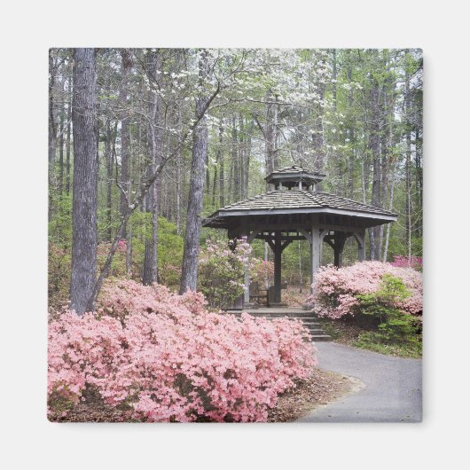 USA, Georgien, Pine Mountain. Ein Gazebo unter Magnet (Vorne)