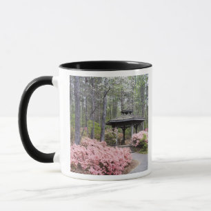USA, Georgien, Pine Mountain. Ein Gazebo unter Tasse