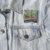 USA, Georgien, Pine Mountain. Ein kleiner Wasserfa Button (Beispiel)