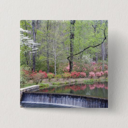 USA, Georgien, Pine Mountain. Ein kleiner Wasserfa Button (Vorderseite)