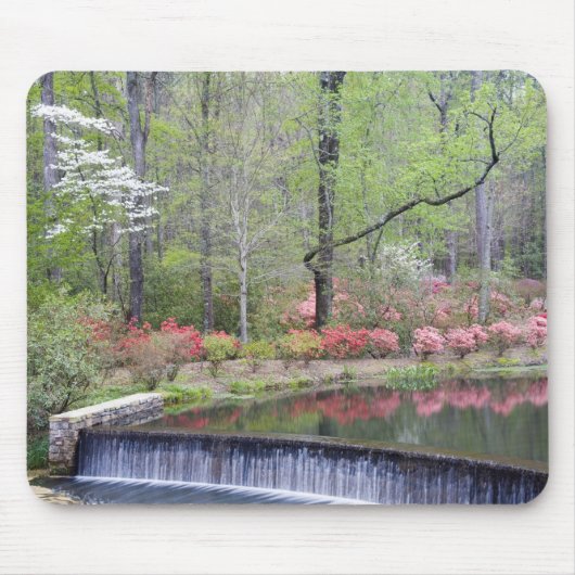 USA, Georgien, Pine Mountain. Ein kleiner Wasserfa Mousepad (Vorne)