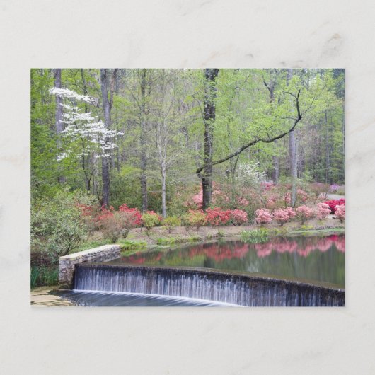 USA, Georgien, Pine Mountain. Ein kleiner Wasserfa Postkarte (Vorderseite)