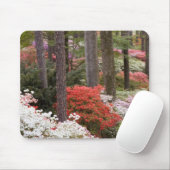USA, Georgien, Pine Mountain. Ein Wald Mousepad (Mit Mouse)