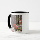 USA, Georgien, Pine Mountain. Ein Wald Tasse (Vorderseite Links)