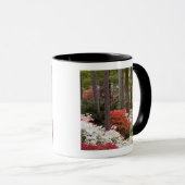 USA, Georgien, Pine Mountain. Ein Wald Tasse (VorderseiteRechts)
