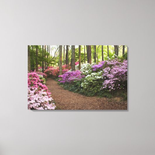 USA, Georgien, Pine Mountain. Ein Weg durch Leinwanddruck (Vorderseite)