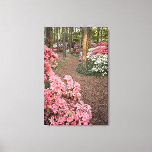 USA, Georgien, Pine Mountain. Ein Weg durch Leinwanddruck