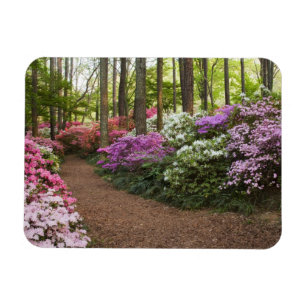 USA, Georgien, Pine Mountain. Ein Weg durch Magnet