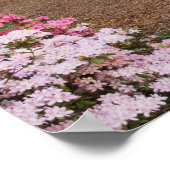 USA, Georgien, Pine Mountain. Ein Weg durch Poster (Ecke)