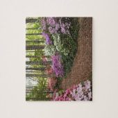 USA, Georgien, Pine Mountain. Ein Weg durch Puzzle (Vertikal)