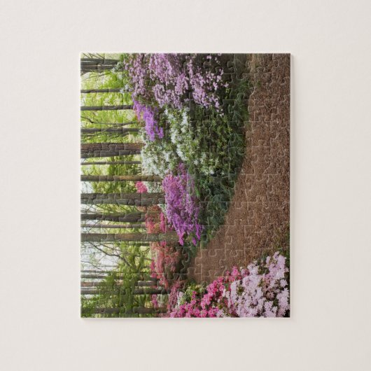 USA, Georgien, Pine Mountain. Ein Weg durch Puzzle (Vertikal)