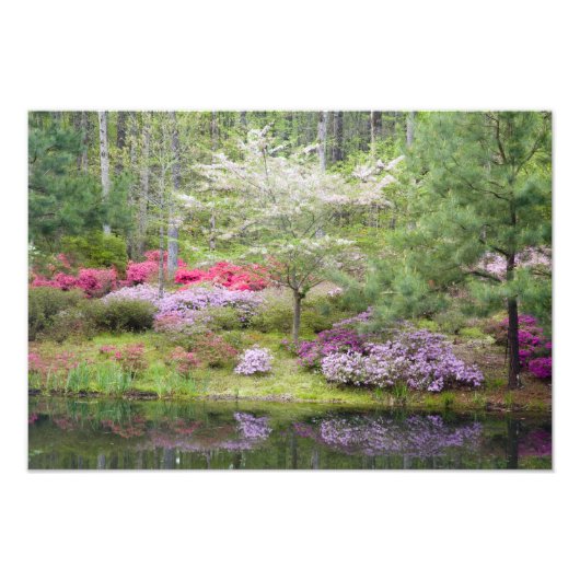 USA, Georgien, Pine Mountain. Eine Mischung Fotodruck (Vorne)