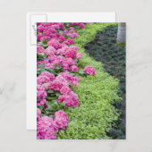 USA, Georgien, Pine Mountain. Eine Quelle Postkarte (Vorne/Hinten)