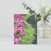 USA, Georgien, Pine Mountain. Eine Quelle Postkarte (Stehend Vorderseite)