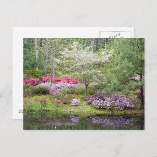 USA, Georgien, Pine Mountain. Gemisch aus Postkarte (Vorne/Hinten)