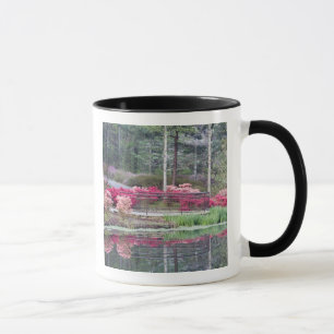 USA, Georgien, Pine Mountain. Sichtbereich nach Tasse