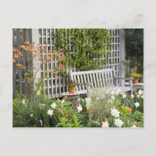 USA, Georgien, Pine Mountain. Vorsitz im Postkarte