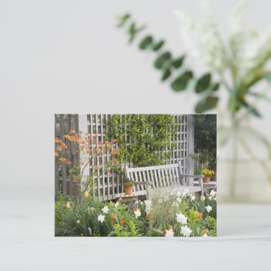 USA, Georgien, Pine Mountain. Vorsitz im Postkarte (Stehend Vorderseite)