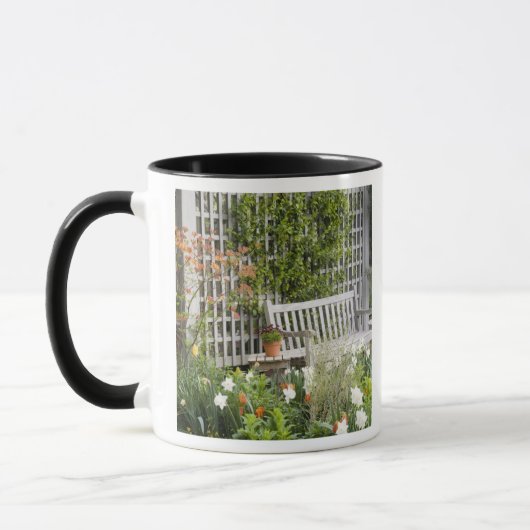 USA, Georgien, Pine Mountain. Vorsitz im Tasse (Links)