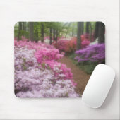 USA; Georgien; Piniengebirge. Azaleen bei 2 Mousepad (Mit Mouse)
