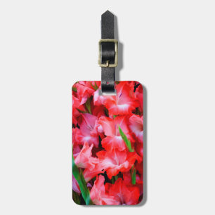 USA, Georgien, Savannah, Bouquet von Gladiolus Gepäckanhänger