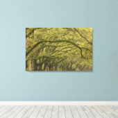 USA; Georgien; Savannah. Eichenbäume Leinwanddruck (Insitu (Holzboden))